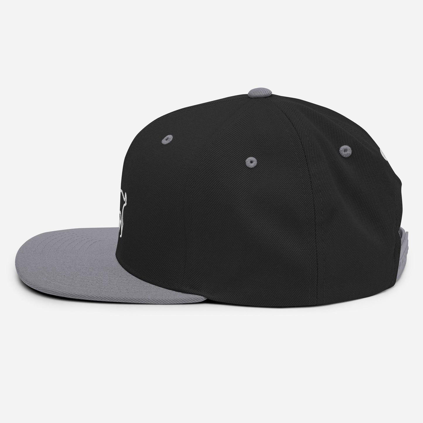 G Classics  G Snapback Hat